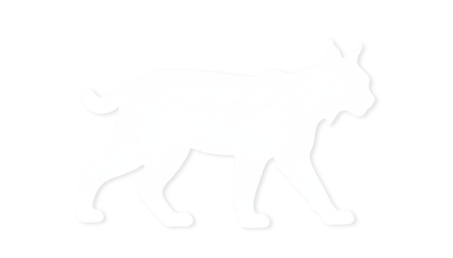 Rufus the lynx — mascot and namesake of the Rufus Brands product studio